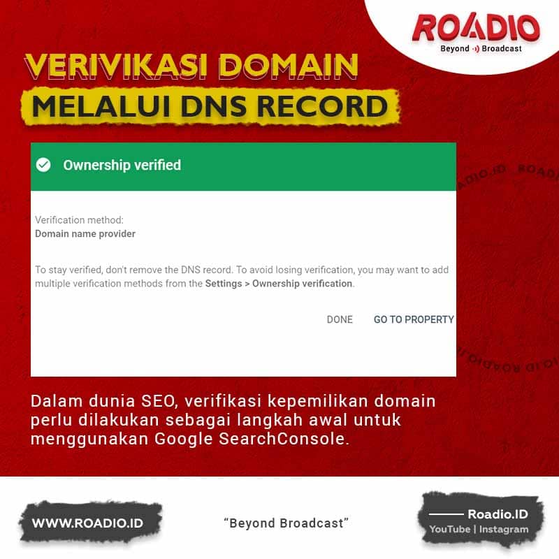 verifikasi kepemilikan domain Melalui DNS Record di Plesk Panel