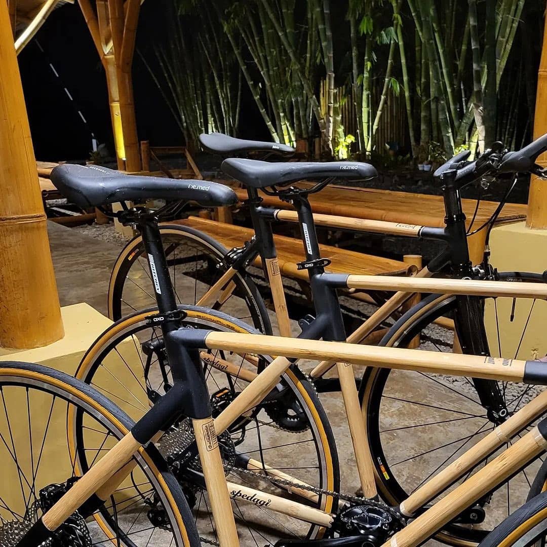 sepeda bambu hari lingkungan hidup sedunia