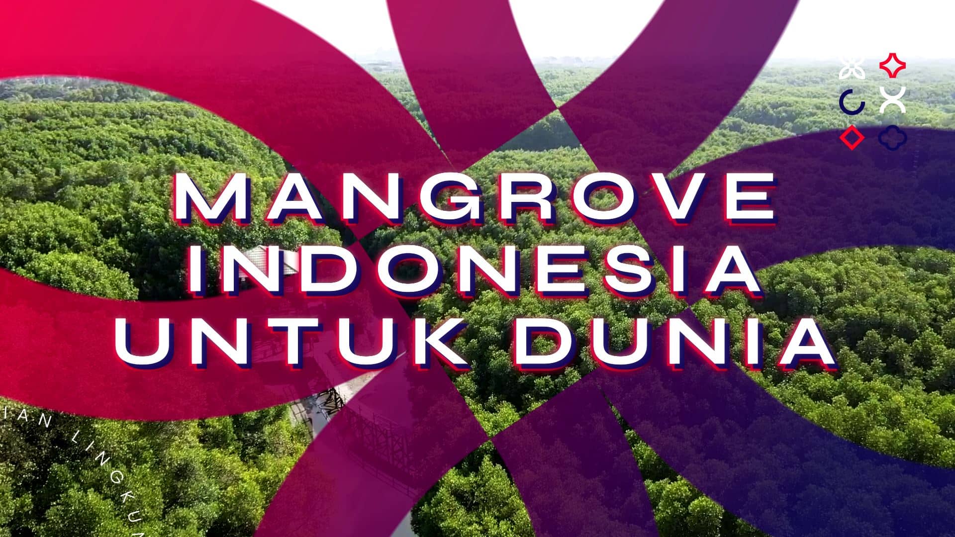 Bumper G20 x Mangrove Indonesia Untuk Dunia